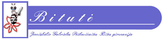 Bitute2013-a