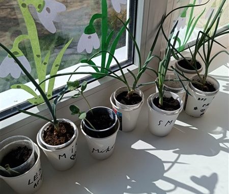 Visos dienos grupė